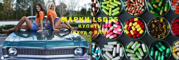 PSILOCYBIN Нефтегорск