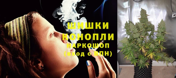 PSILOCYBIN Нефтегорск
