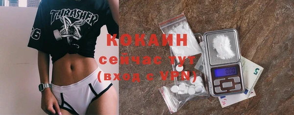 индика Навашино