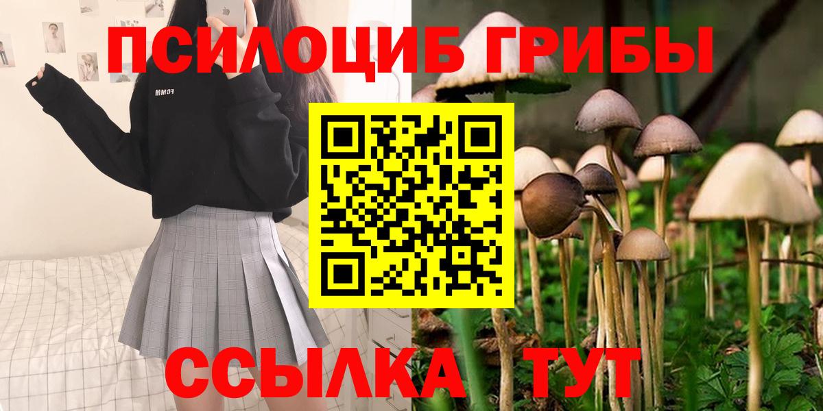 Галлюциногенные грибы Magic Shrooms Челябинск