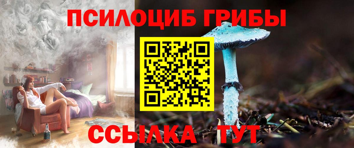 Галлюциногенные грибы MAGIC MUSHROOMS  Галлюциногенные грибы ЛСД  Челябинск  Вход с VPN 